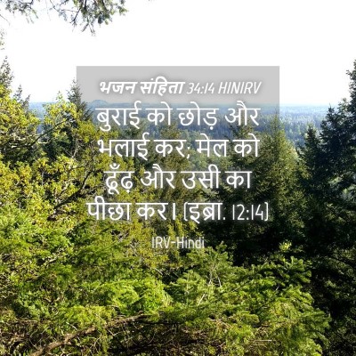 Picture 04 - भजन संहिता 34:14 HINIRV - बुराई को छोड़ और - Bible Verse Picture