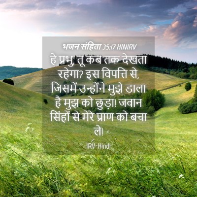 Picture 04 - भजन संहिता 35:17 HINIRV - हे प्रभु, तू कब तक - Bible Verse Picture