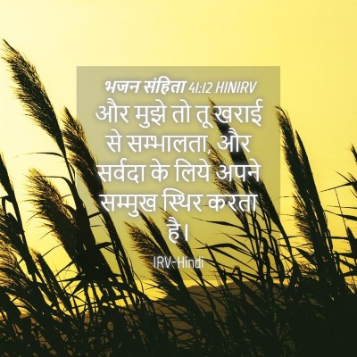 Picture 04 - भजन संहिता 41:12 HINIRV - और मुझे तो तू खराई - Bible Verse Picture