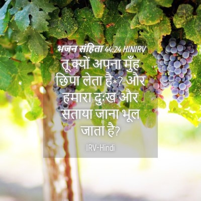 Picture 04 - भजन संहिता 44:24 HINIRV - तू क्यों अपना मुँह - Bible Verse Picture