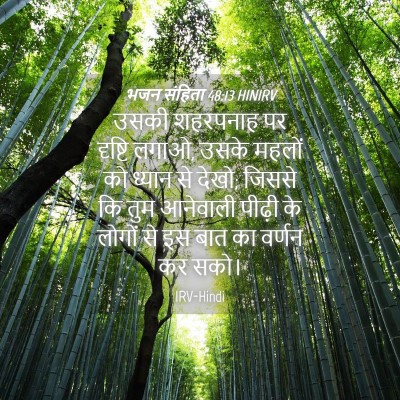 Picture 04 - भजन संहिता 48:13 HINIRV - उसकी शहरपनाह पर - Bible Verse Picture