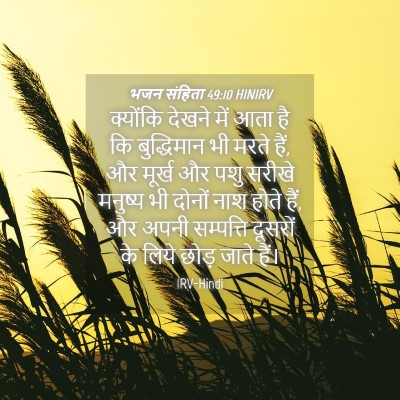 Picture 04 - भजन संहिता 49:10 HINIRV - क्योंकि देखने में - Bible Verse Picture