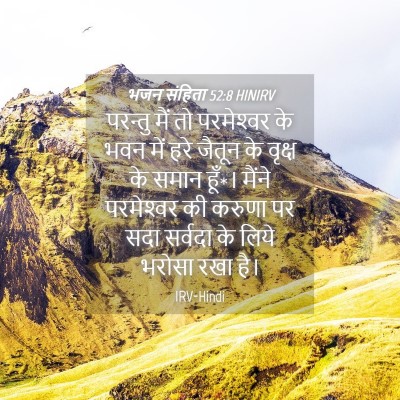 Picture 04 - भजन संहिता 52:8 HINIRV - परन्तु मैं तो - Bible Verse Picture