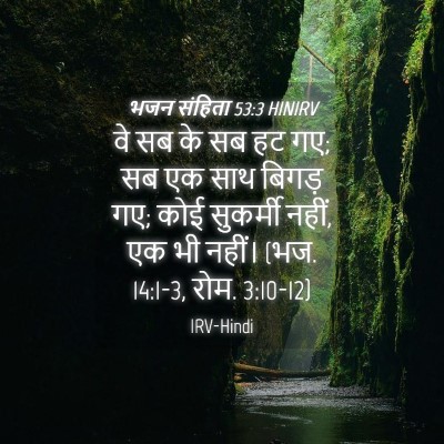 Picture 04 - भजन संहिता 53:3 HINIRV - वे सब के सब हट गए; सब - Bible Verse Picture