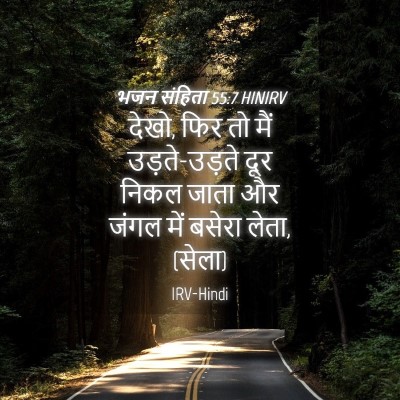 Picture 04 - भजन संहिता 55:7 HINIRV - देखो, फिर तो मैं - Bible Verse Picture