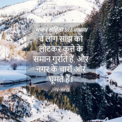 Picture 04 - भजन संहिता 59:6 HINIRV - वे लोग सांझ को - Bible Verse Picture
