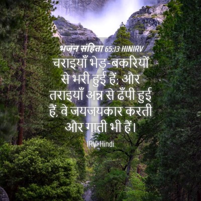 Picture 04 - भजन संहिता 65:13 HINIRV - चराइयाँ - Bible Verse Picture