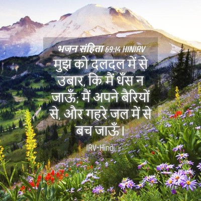 Picture 04 - भजन संहिता 69:14 HINIRV - मुझ को दलदल में से - Bible Verse Picture