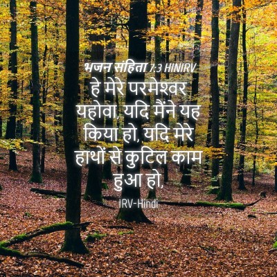 Picture 04 - भजन संहिता 7:3 HINIRV - हे मेरे परमेश्‍वर - Bible Verse Picture