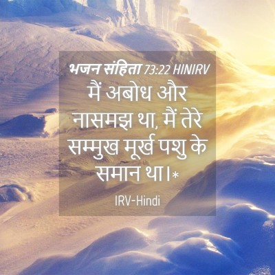 Picture 04 - भजन संहिता 73:22 HINIRV - मैं अबोध और नासमझ - Bible Verse Picture