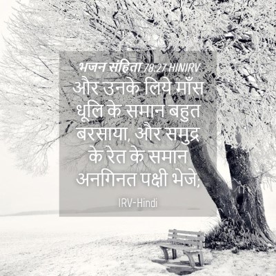 Picture 04 - भजन संहिता 78:27 HINIRV - और उनके लिये माँस - Bible Verse Picture