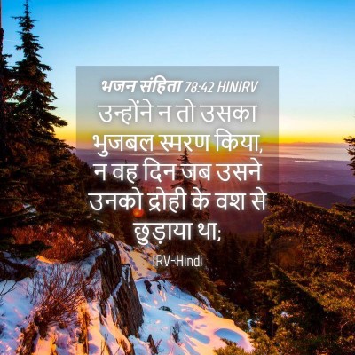Picture 04 - भजन संहिता 78:42 HINIRV - उन्होंने न तो उसका - Bible Verse Picture
