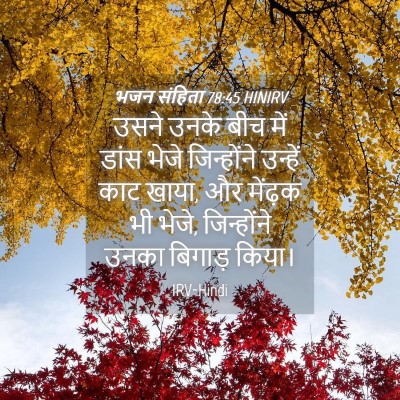 Picture 04 - भजन संहिता 78:45 HINIRV - उसने उनके बीच में - Bible Verse Picture