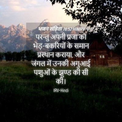 Picture 04 - भजन संहिता 78:52 HINIRV - परन्तु अपनी प्रजा - Bible Verse Picture