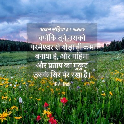 Picture 04 - भजन संहिता 8:5 HINIRV - क्योंकि तूने उसको - Bible Verse Picture