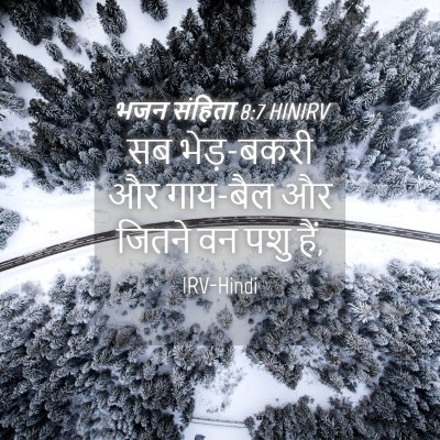 Picture 04 - भजन संहिता 8:7 HINIRV - सब भेड़-बकरी और - Bible Verse Picture