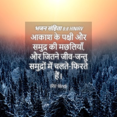 Picture 04 - भजन संहिता 8:8 HINIRV - आकाश के पक्षी और - Bible Verse Picture
