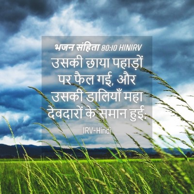 Picture 04 - भजन संहिता 80:10 HINIRV - उसकी छाया पहाड़ों - Bible Verse Picture