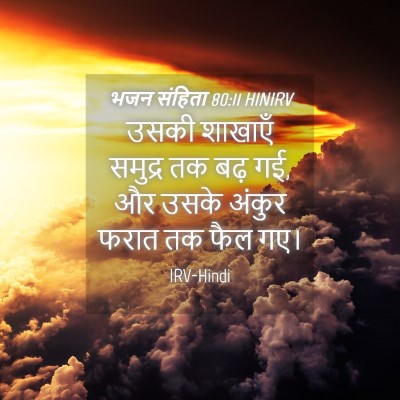 Picture 04 - भजन संहिता 80:11 HINIRV - उसकी शाखाएँ - Bible Verse Picture