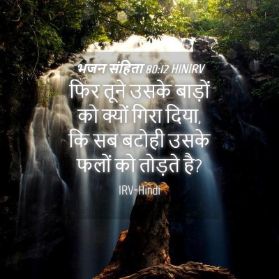 Picture 04 - भजन संहिता 80:12 HINIRV - फिर तूने उसके - Bible Verse Picture