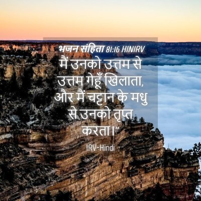 Picture 04 - भजन संहिता 81:16 HINIRV - मैं उनको उत्तम से - Bible Verse Picture