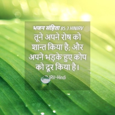 Picture 04 - भजन संहिता 85:3 HINIRV - तूने अपने रोष को - Bible Verse Picture