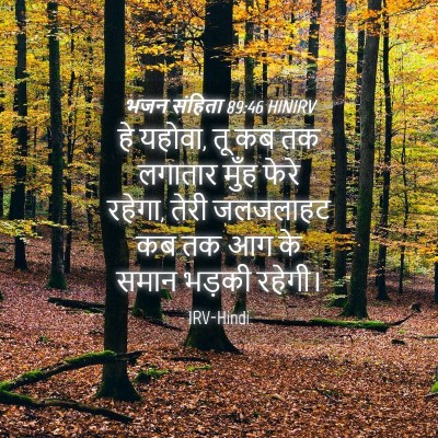 Picture 04 - भजन संहिता 89:46 HINIRV - हे यहोवा, तू कब तक - Bible Verse Picture