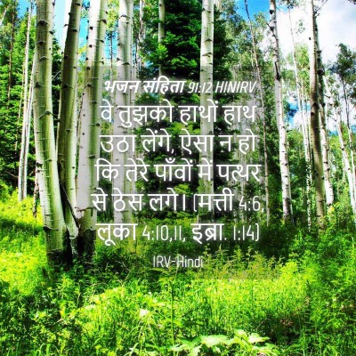 Picture 04 - भजन संहिता 91:12 HINIRV - वे तुझको हाथों हाथ - Bible Verse Picture