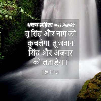 Picture 04 - भजन संहिता 91:13 HINIRV - तू सिंह और नाग को - Bible Verse Picture