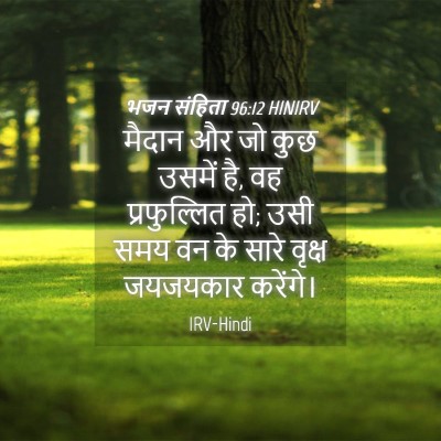 Picture 04 - भजन संहिता 96:12 HINIRV - मैदान और जो कुछ - Bible Verse Picture