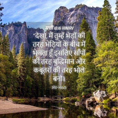 Picture 04 - मत्ती 10:16 HINIRV - “देखो, मैं तुम्हें - Bible Verse Picture