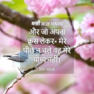 Picture 04 - मत्ती 10:38 HINIRV - और जो अपना क्रूस - Bible Verse Picture