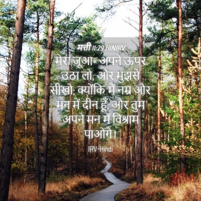 Picture 04 - मत्ती 11:29 HINIRV - मेरा जूआ* अपने ऊपर - Bible Verse Picture