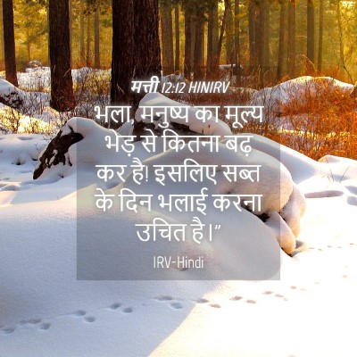 Picture 04 - मत्ती 12:12 HINIRV - भला, मनुष्य का - Bible Verse Picture