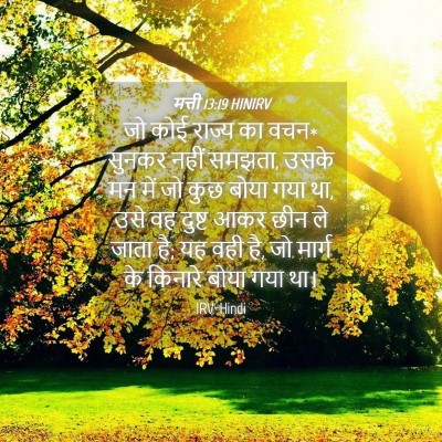 Picture 04 - मत्ती 13:19 HINIRV - जो कोई राज्य का - Bible Verse Picture