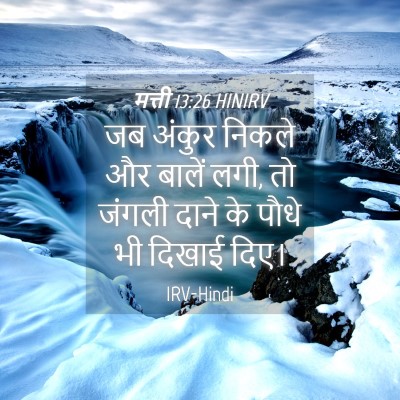 Picture 04 - मत्ती 13:26 HINIRV - जब अंकुर निकले और - Bible Verse Picture