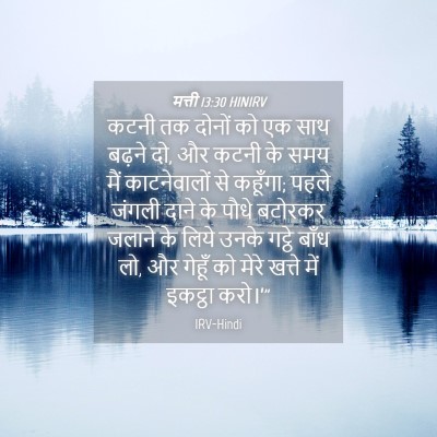 Picture 04 - मत्ती 13:30 HINIRV - कटनी तक दोनों को एक - Bible Verse Picture