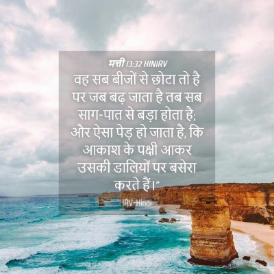 Picture 04 - मत्ती 13:32 HINIRV - वह सब बीजों से छोटा - Bible Verse Picture