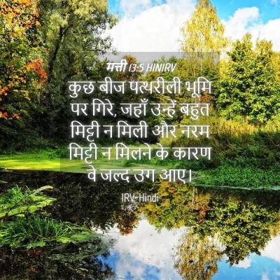 Picture 04 - मत्ती 13:5 HINIRV - कुछ बीज पत्थरीली - Bible Verse Picture