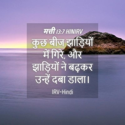 Picture 04 - मत्ती 13:7 HINIRV - कुछ बीज झाड़ियों - Bible Verse Picture