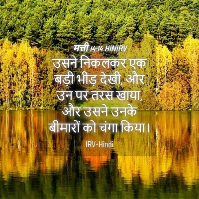 Picture 04 - मत्ती 14:14 HINIRV - उसने निकलकर एक - Bible Verse Picture
