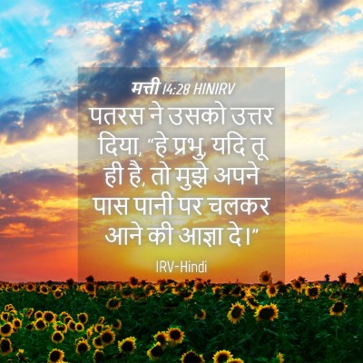 Picture 04 - मत्ती 14:28 HINIRV - पतरस ने उसको उत्तर - Bible Verse Picture