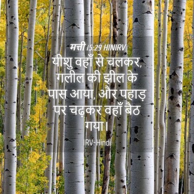Picture 04 - मत्ती 15:29 HINIRV - यीशु वहाँ से चलकर, - Bible Verse Picture