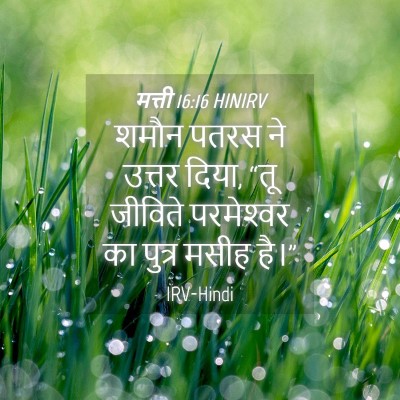 Picture 04 - मत्ती 16:16 HINIRV - शमौन पतरस ने उत्तर - Bible Verse Picture