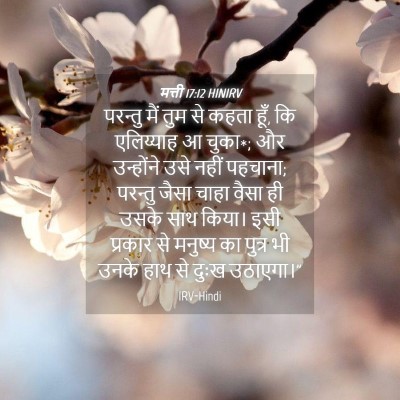 Picture 04 - मत्ती 17:12 HINIRV - परन्तु मैं तुम से - Bible Verse Picture