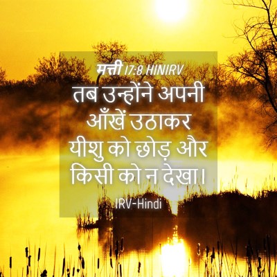 Picture 04 - मत्ती 17:8 HINIRV - तब उन्होंने अपनी - Bible Verse Picture
