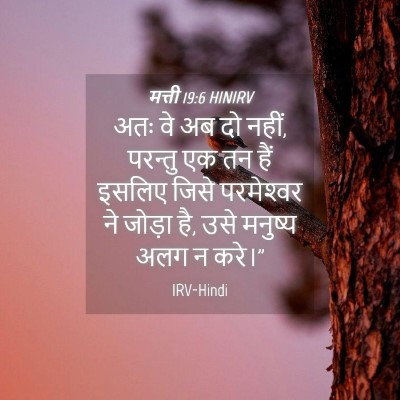 Picture 04 - मत्ती 19:6 HINIRV - अतः वे अब दो नहीं, - Bible Verse Picture