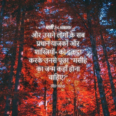 Picture 04 - मत्ती 2:4 HINIRV - और उसने लोगों के सब - Bible Verse Picture