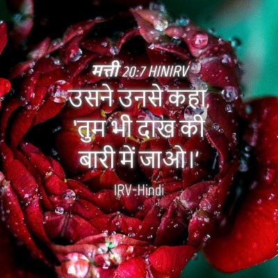 Picture 04 - मत्ती 20:7 HINIRV - उसने उनसे कहा, ‘तुम - Bible Verse Picture