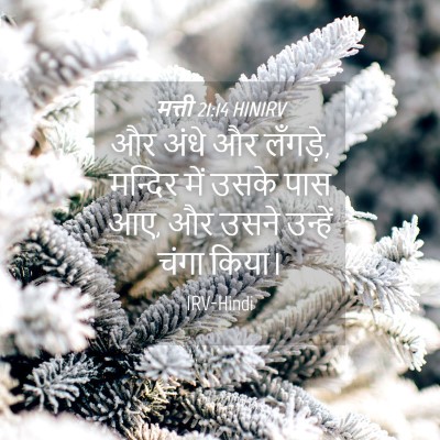 Picture 04 - मत्ती 21:14 HINIRV - और अंधे और लँगड़े, - Bible Verse Picture